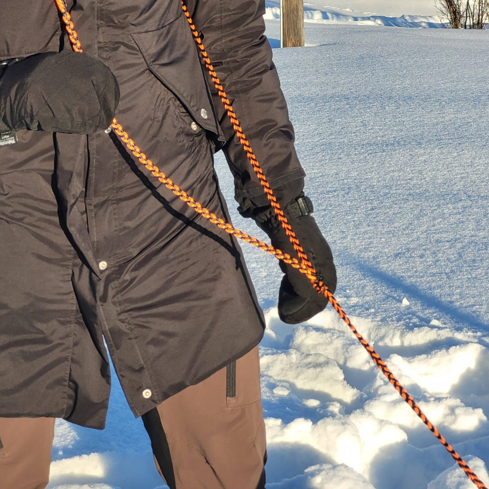 Hunting leash Arts & Crafts Texsolvshop