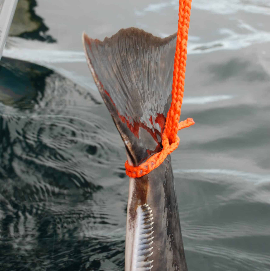 Outdoor set Arts & Crafts Texsolvshop