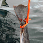 Outdoor set Arts & Crafts Texsolvshop