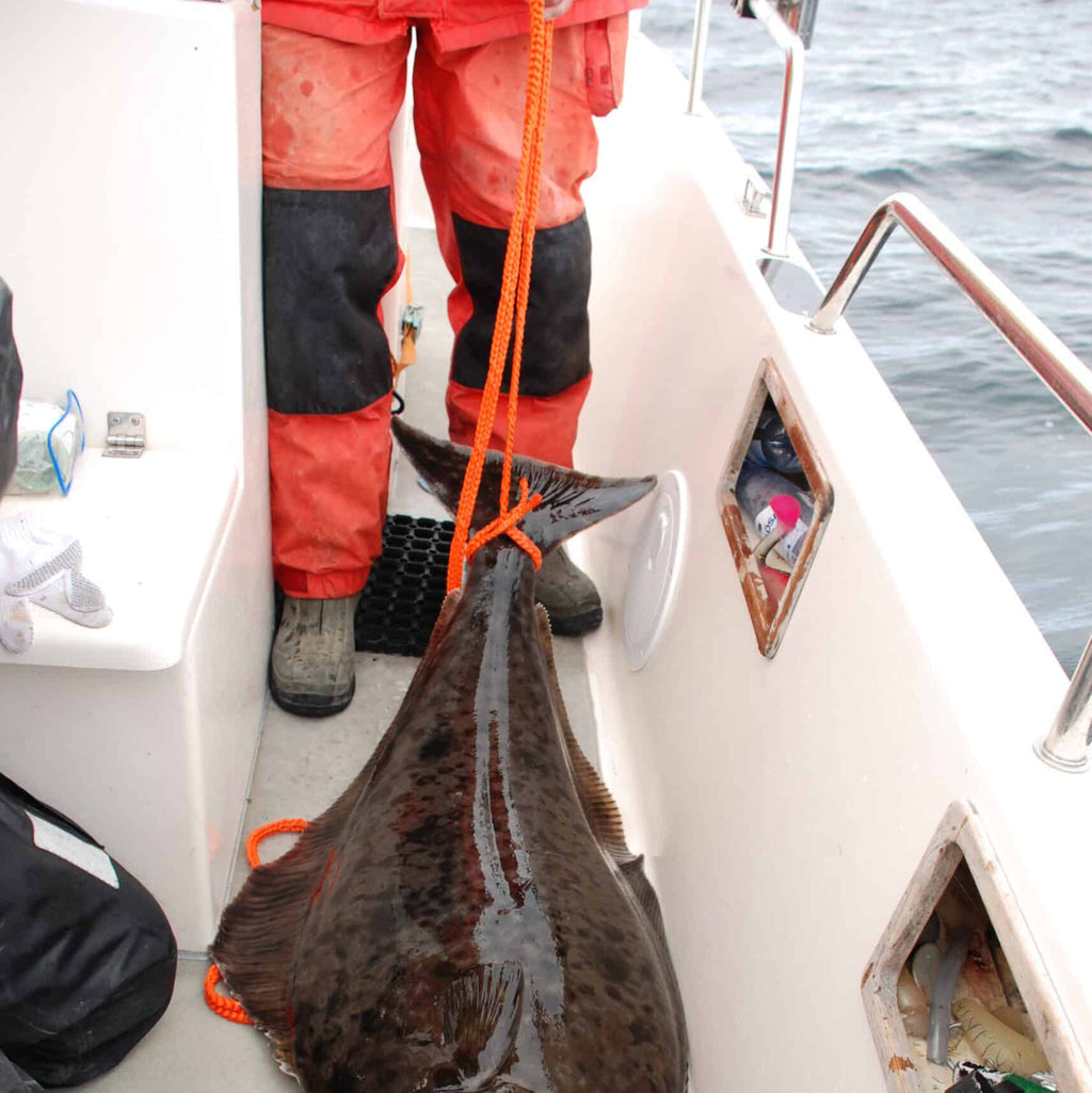 Outdoor set Arts & Crafts Texsolvshop