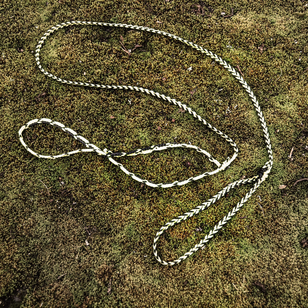 Dog leash Arts & Crafts Texsolvshop