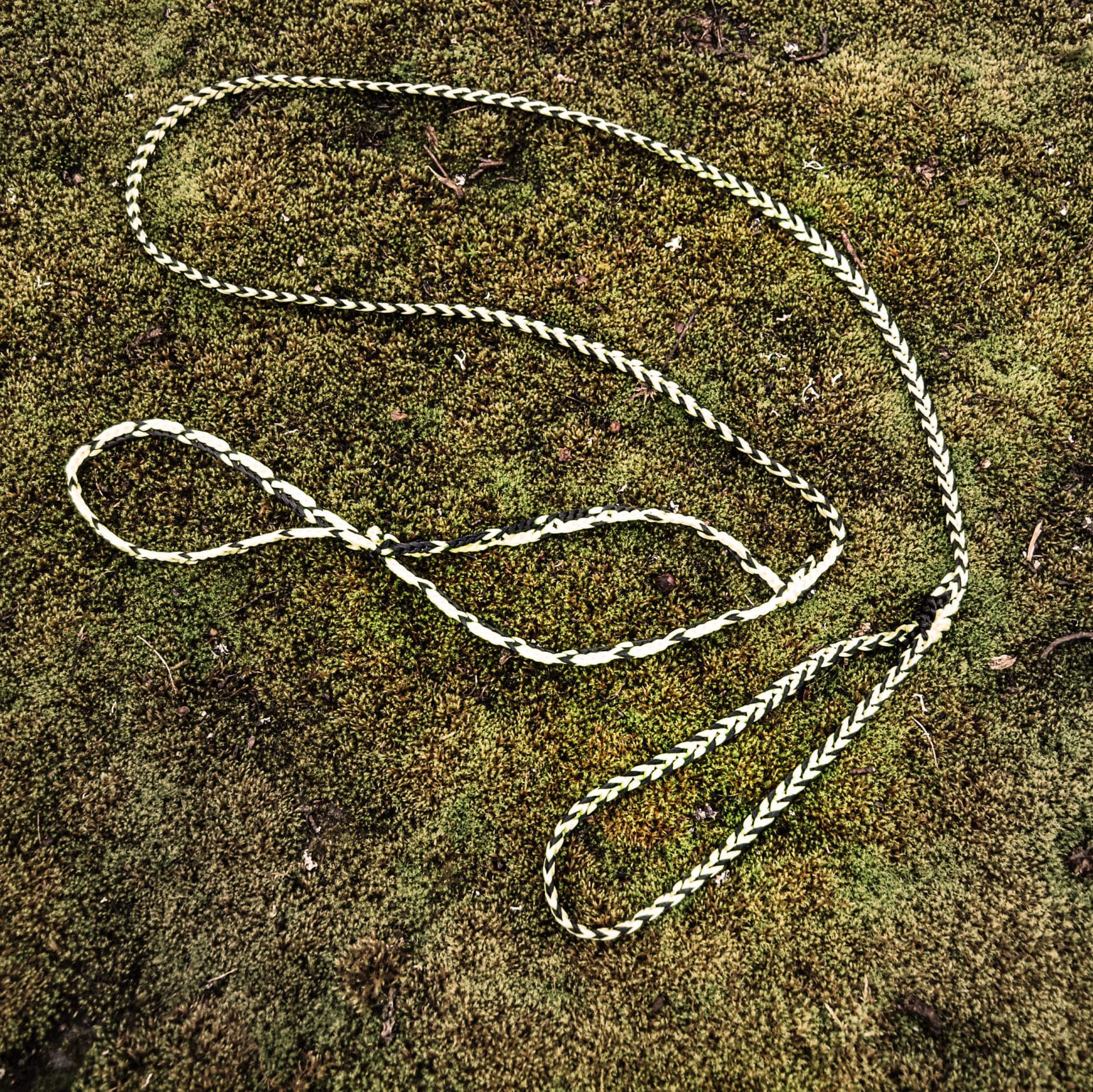 Dog leash Arts & Crafts Texsolvshop