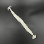 540/12 Heddles Texsolvshop